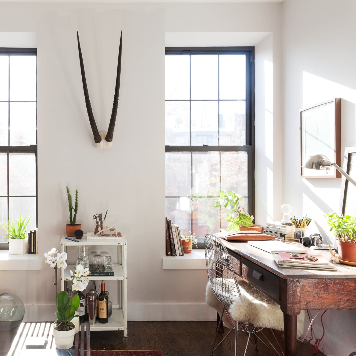 These Affordable Planter Trays Will Save Your Window Sills